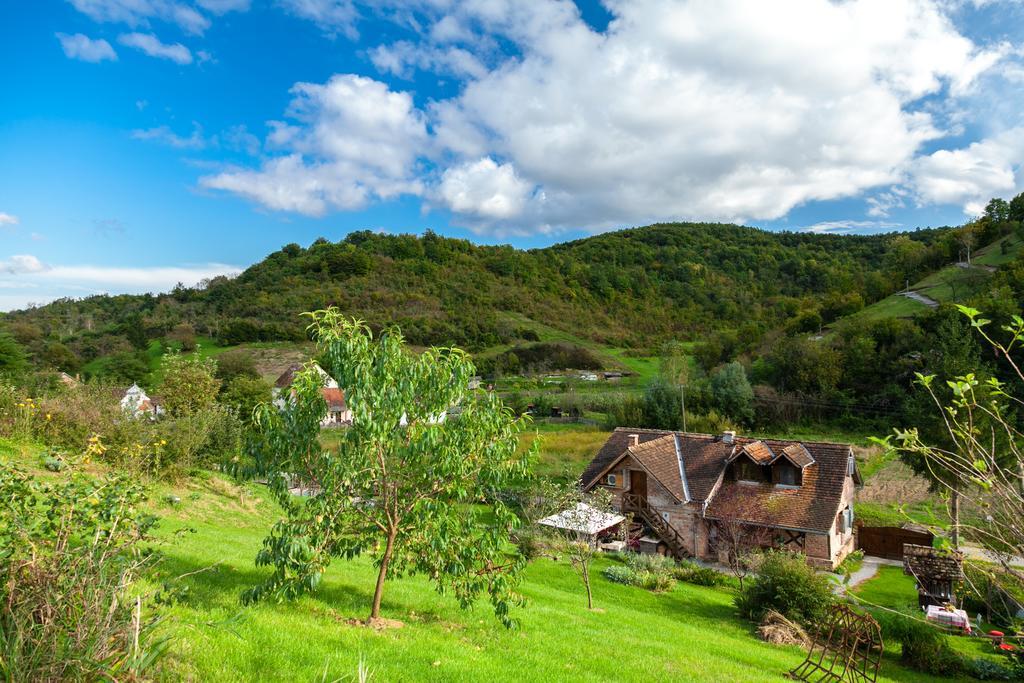 בית הארחה Country House "Stricev Grunt" Stara Kapela חדר תמונה